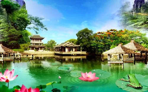 创新高端
